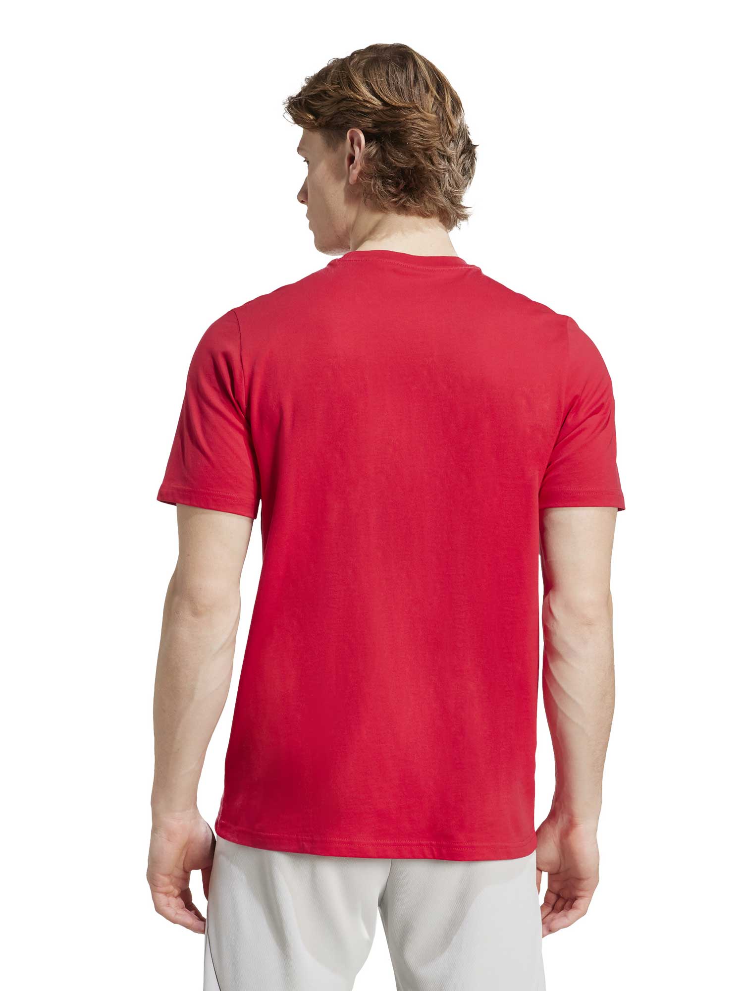 ADIDAS PERFORMANCE Тениска Ajax Amsterdam Seasonal Graphic T-Shirt