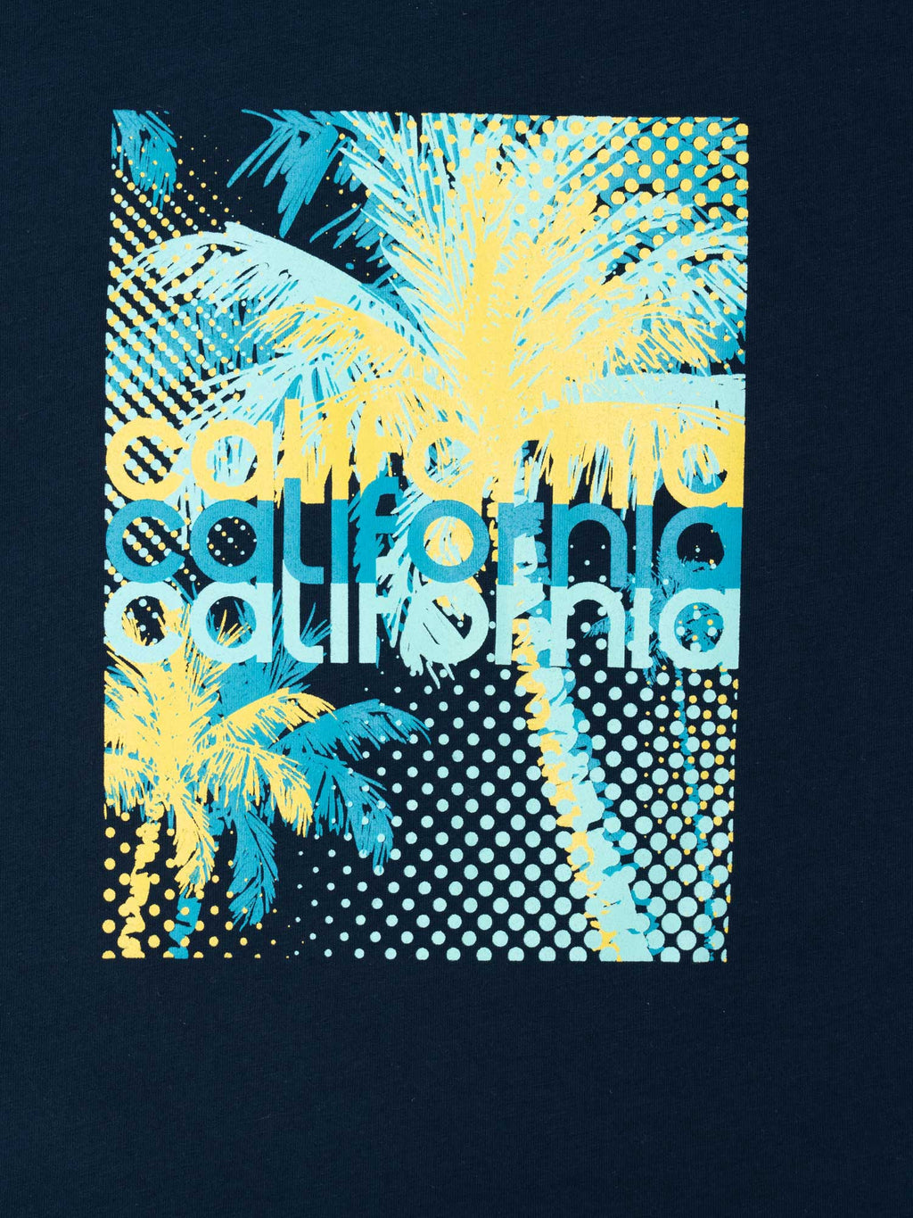 BRILLE Тениска California MAX