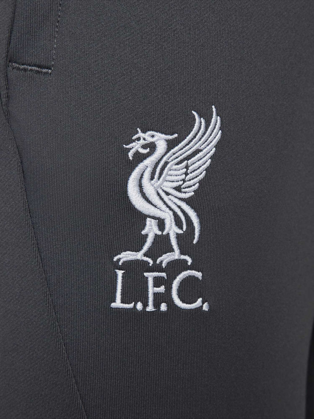 NIKE Спортно долнище LFC M NK DF STRK PANT KPZ