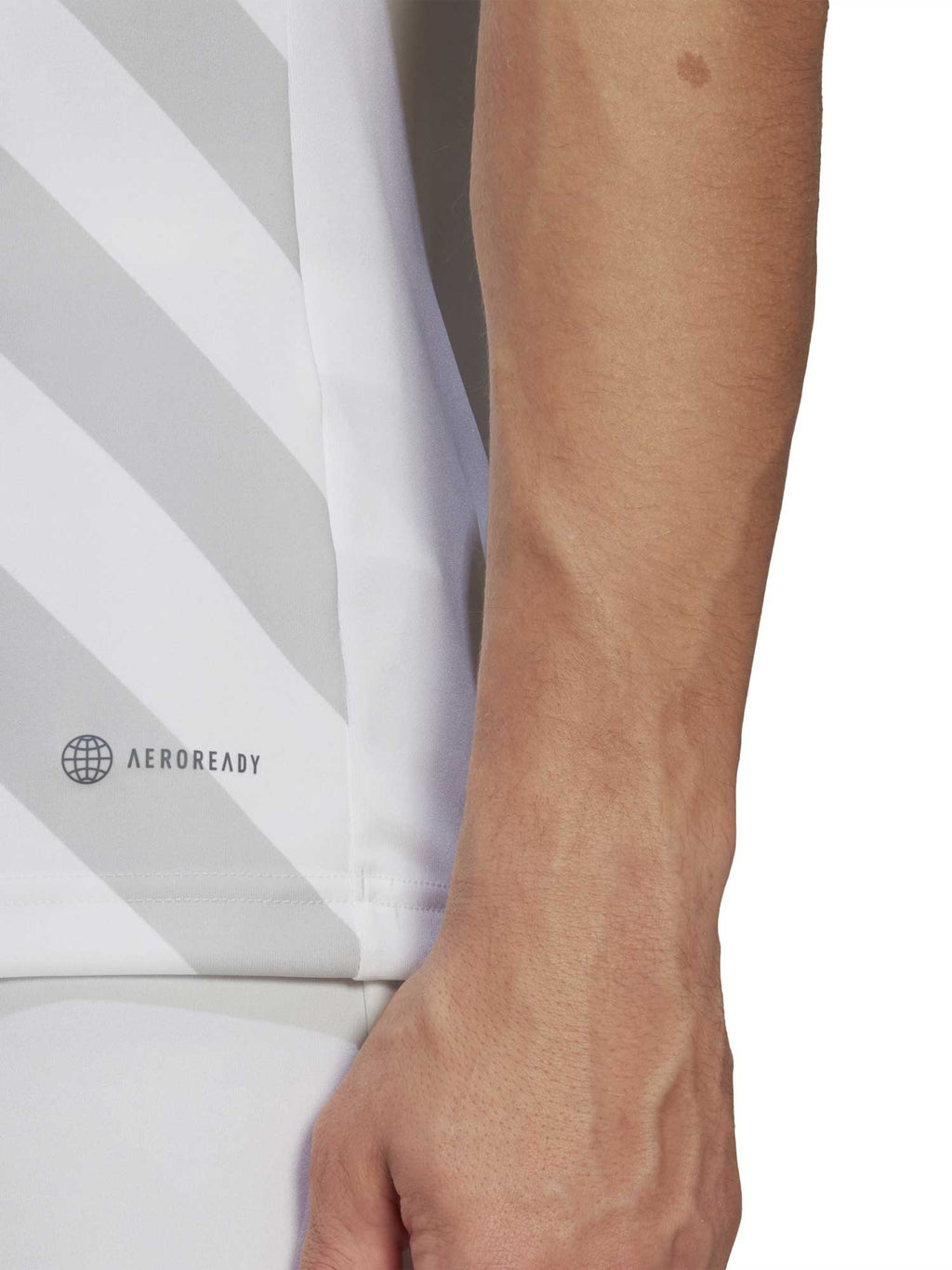 ADIDAS PERFORMANCE Тениска Entrada 22 Graphic Jersey