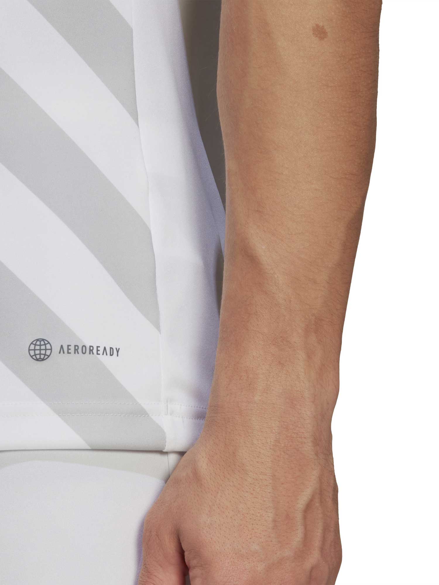 ADIDAS PERFORMANCE Тениска Entrada 22 Graphic Jersey