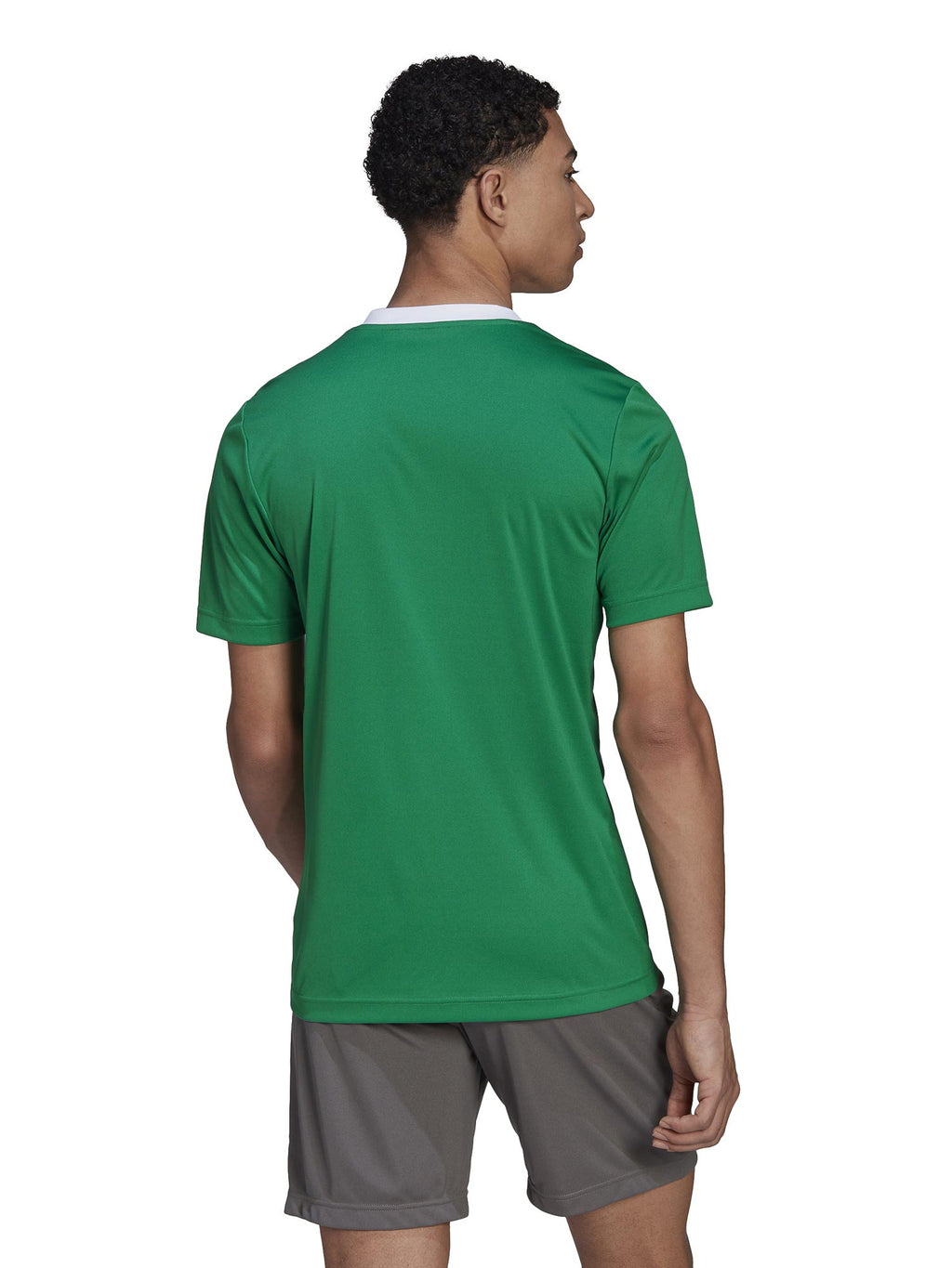ADIDAS PERFORMANCE Тениска Entrada 22