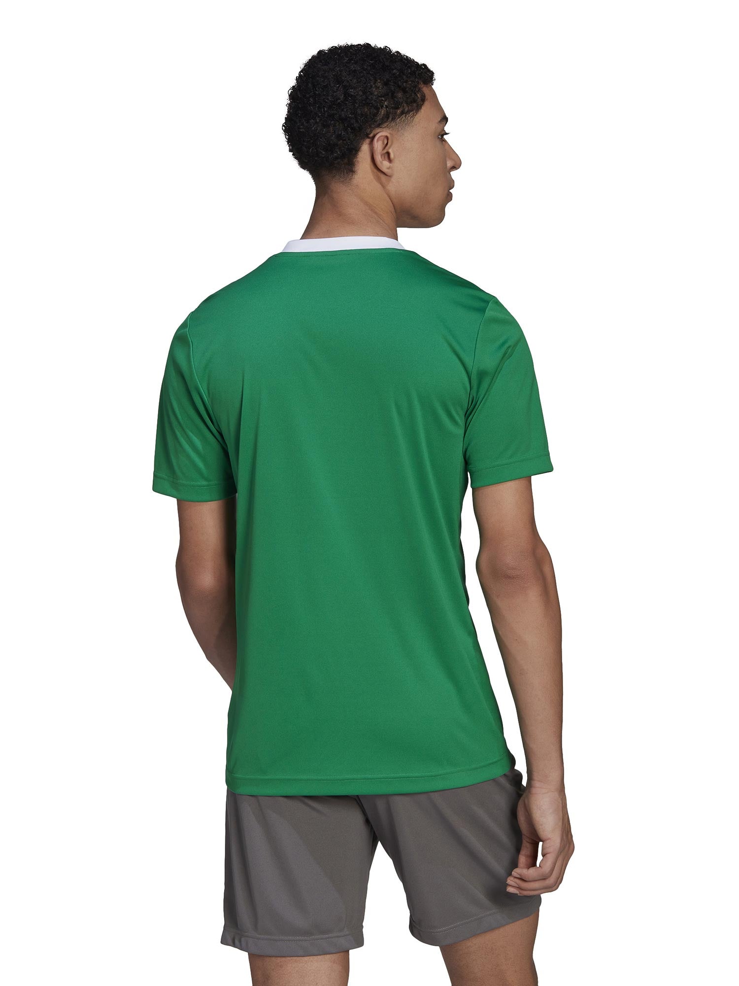 ADIDAS PERFORMANCE Тениска Entrada 22