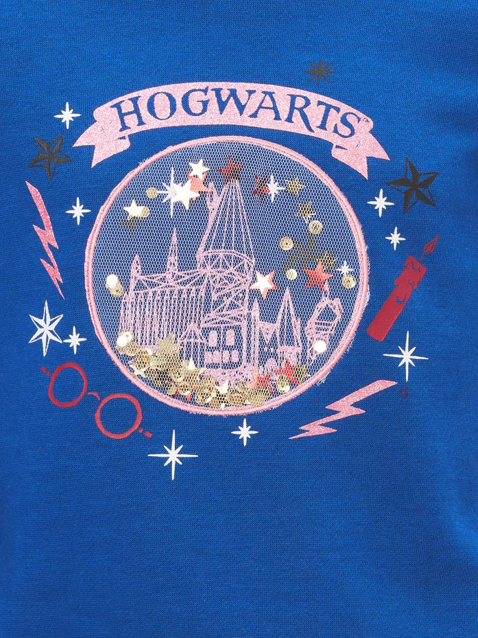 KIDS MOVIE HEROES Блуза HARRY POTTER