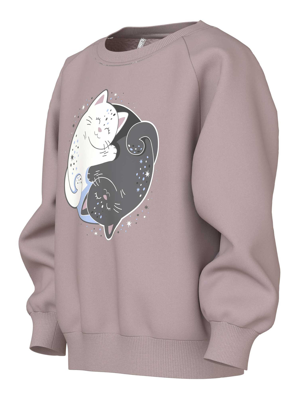 NAME IT Блуза NMFVENUS LS NREG SWEAT BRU