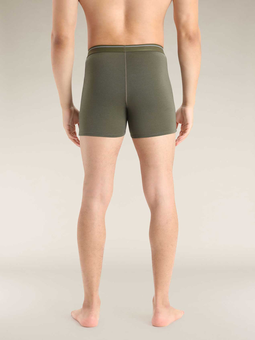 ICEBREAKER Бельо Men Anatomica Boxers