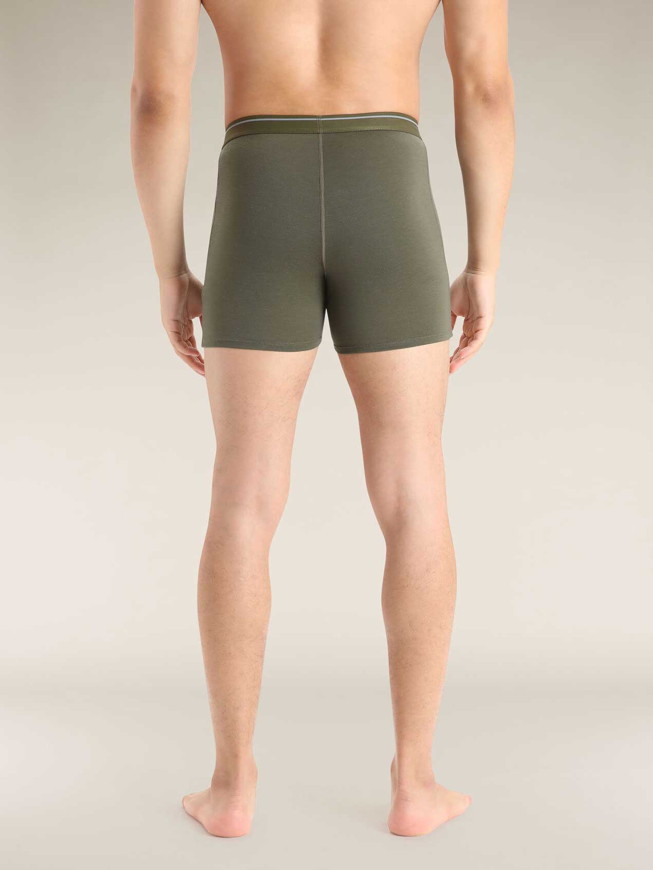 ICEBREAKER Бельо Men Anatomica Boxers