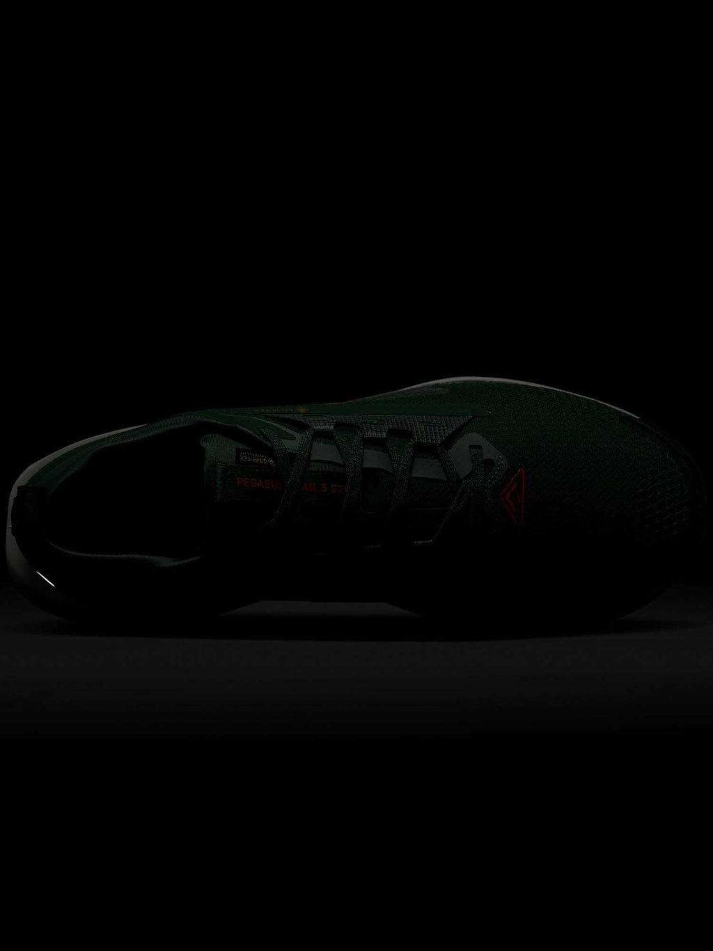 NIKE Обувки PEGASUS TRAIL 5 GTX