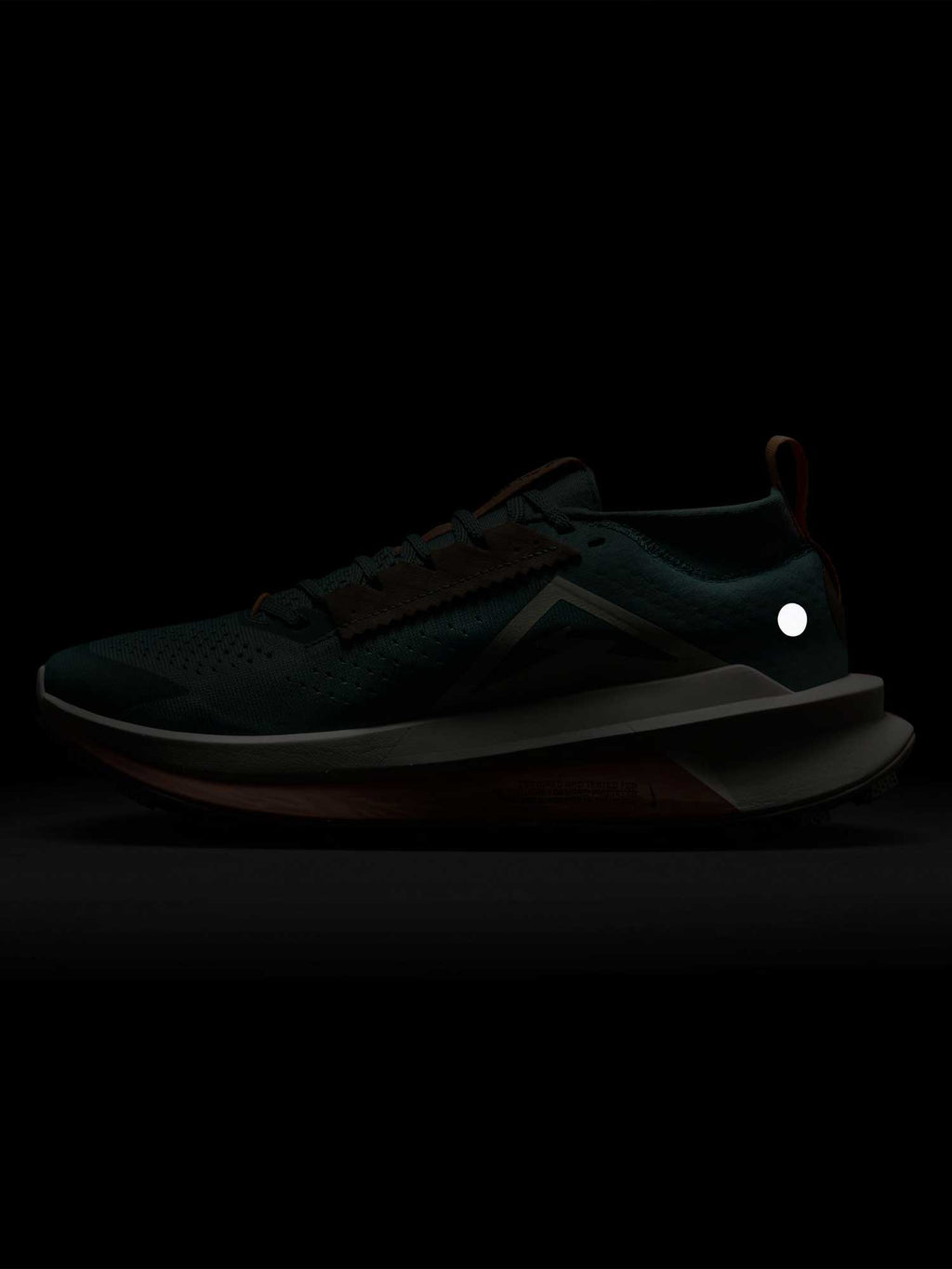 NIKE Обувки W ZOOMX ZEGAMA TRAIL 2