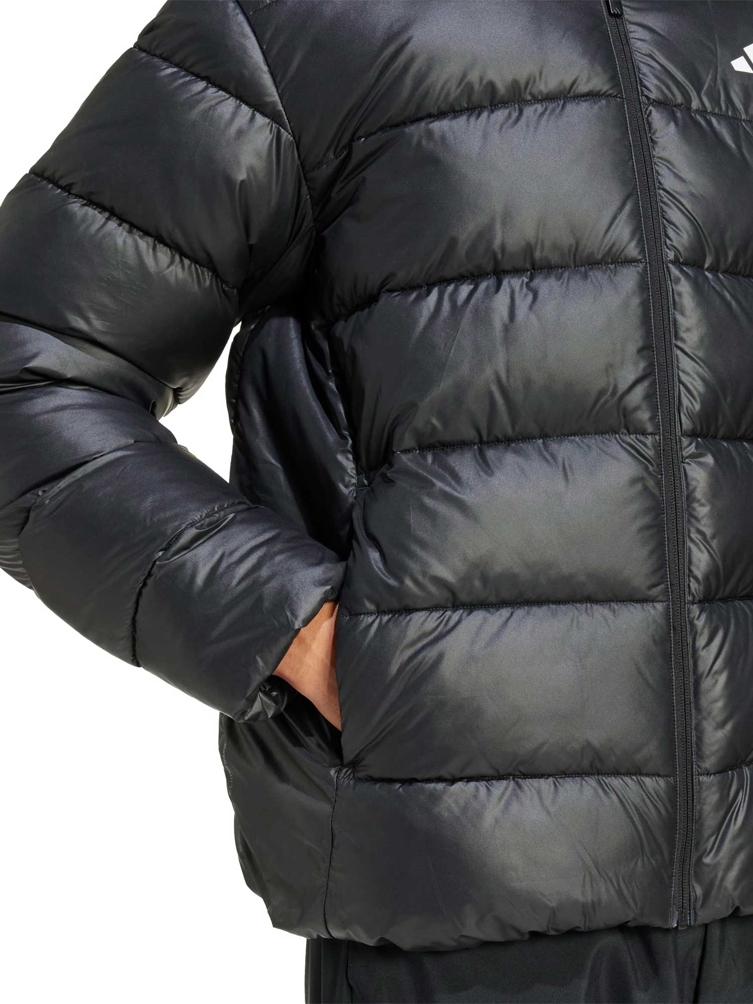 ADIDAS SPORTSWEAR Яке Essentials CLIMAWARM Synthetic Down Jackets