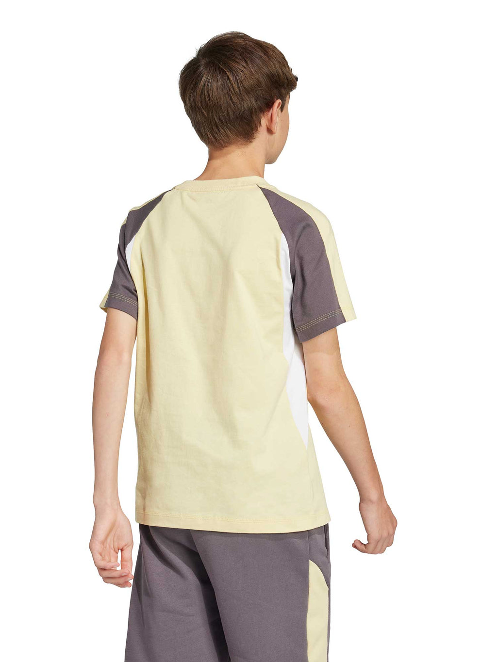 ADIDAS SPORTSWEAR Тениска Seasonal Essentials Colorblock T-Shirt