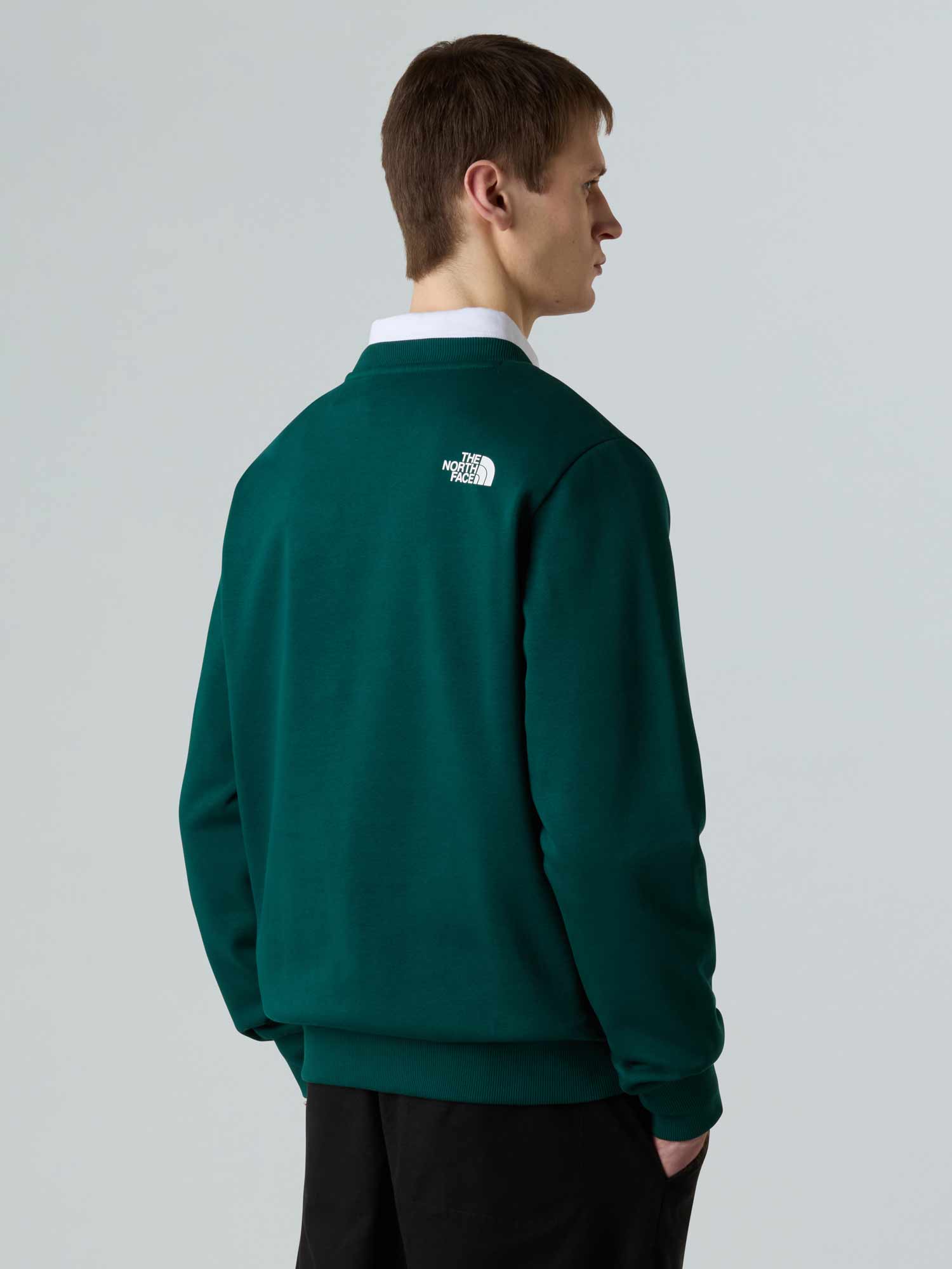 THE NORTH FACE Блуза M SIMPLE DOME REGULAR CREW