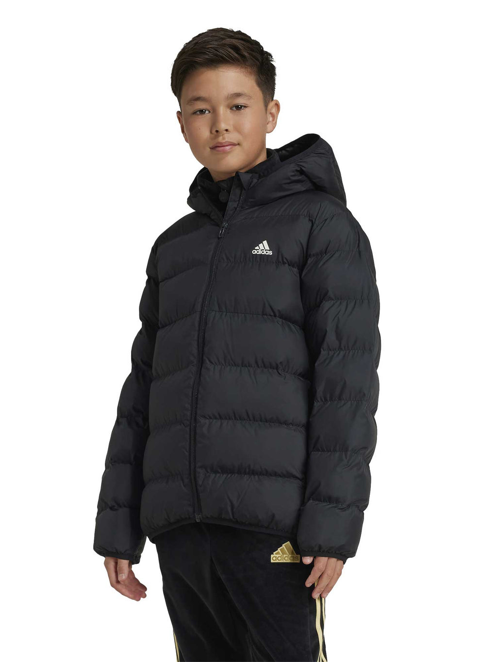 ADIDAS SPORTSWEAR Яке Synthetic Down Jacket