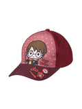 CERDA Шапка Harry Potter
