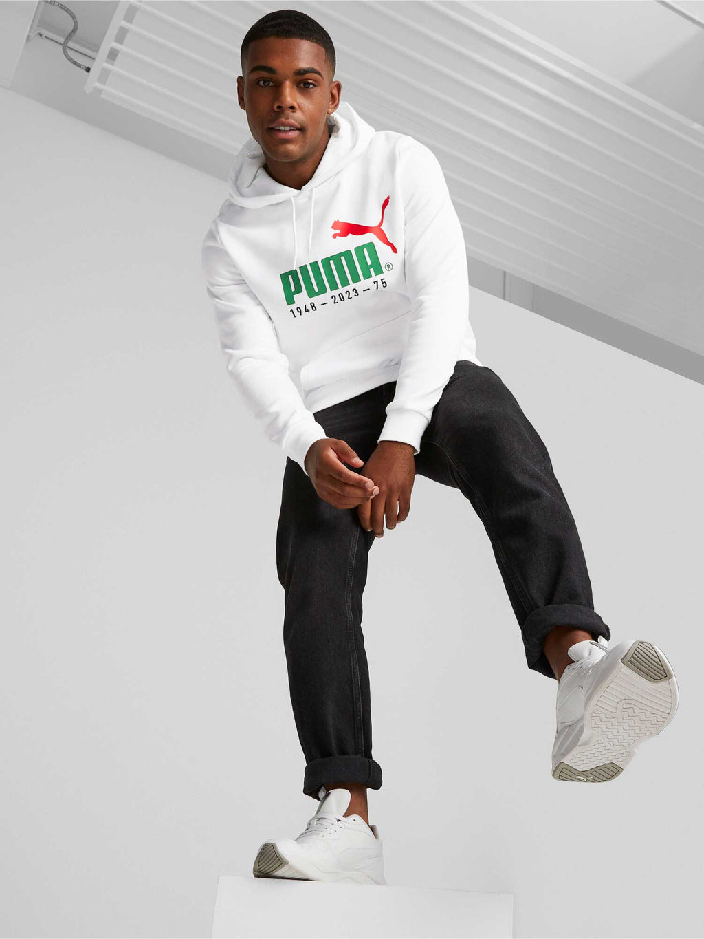 PUMA Суитшърт No. 1 Logo Celebration Hoodie FL
