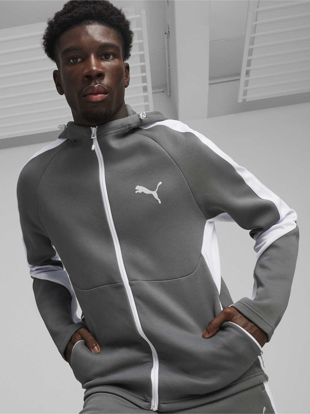 PUMA Суитшърт EVOSTRIPE Full-Zip Hoodie DK