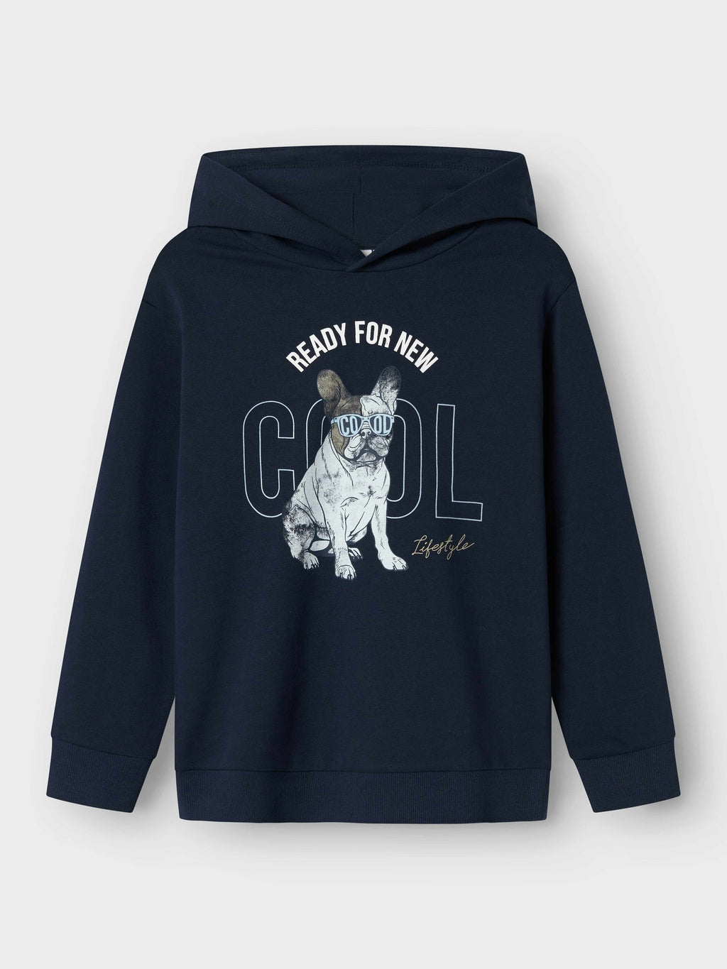 NAME IT Суитшърт NKMBEDOG LS NREG SWEAT WH UNB