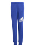 ADIDAS SPORTSWEAR Спортно долнище Essentials Regular Fit