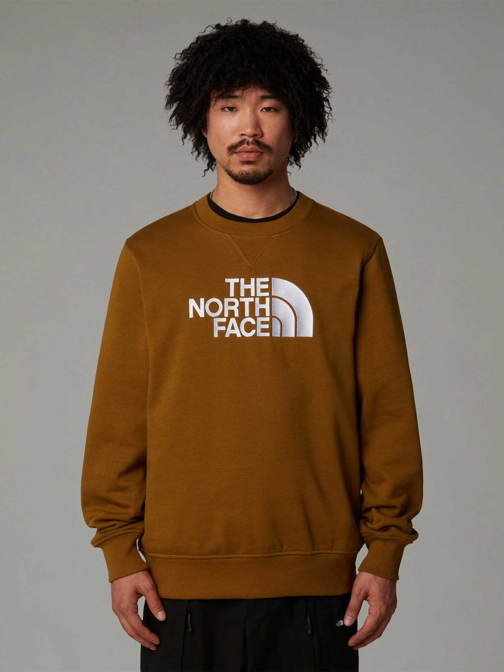 THE NORTH FACE Блуза M DREW PEAK REGULAR CREW