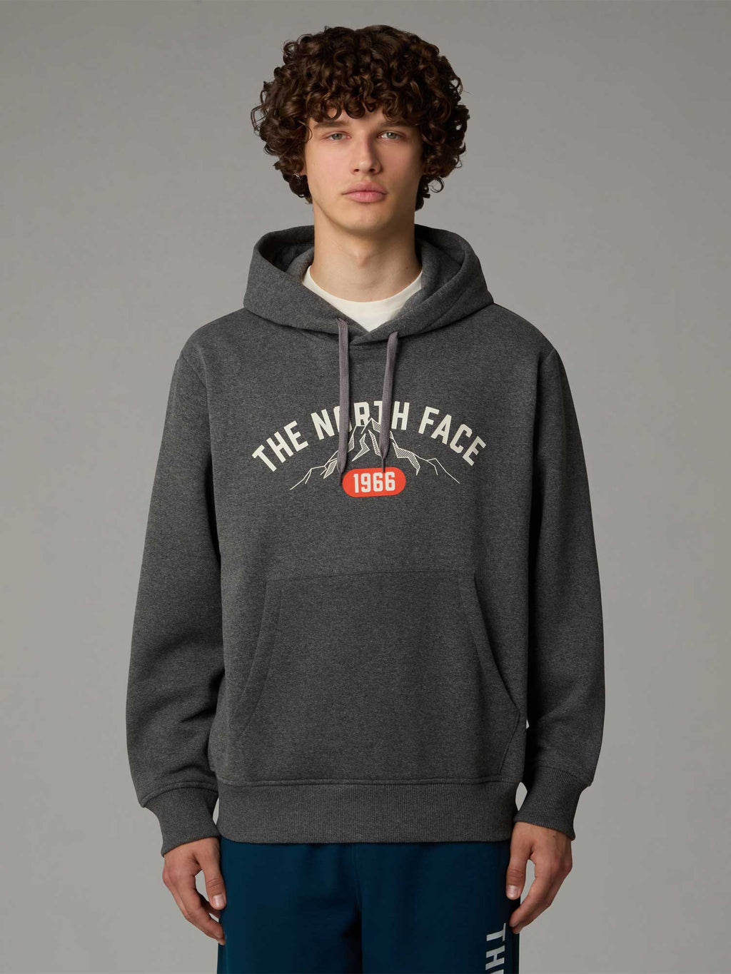 THE NORTH FACE Суитшърт M HOODIE VARSITY GRAPHIC