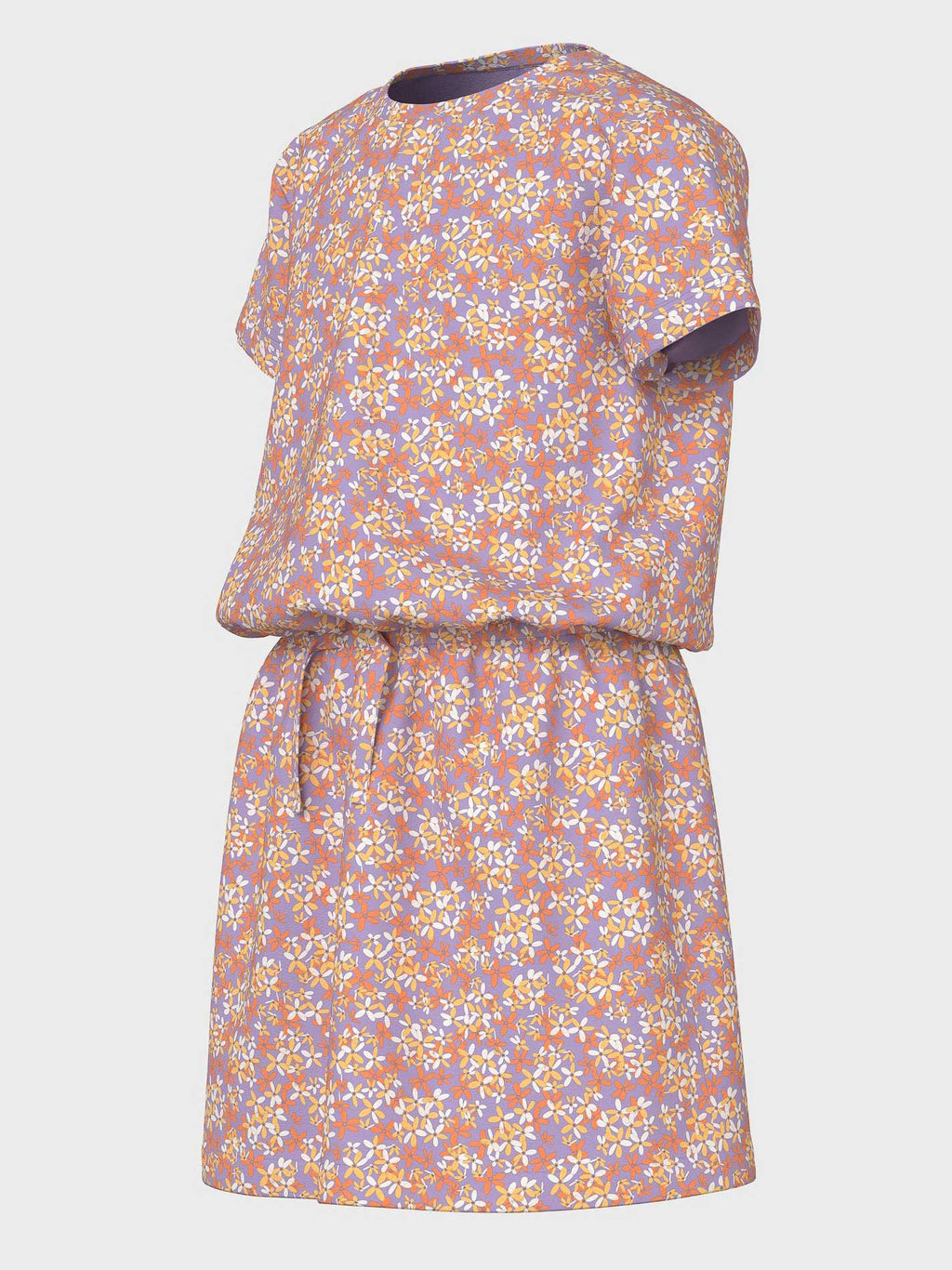 NAME IT Рокля NKFJINNIA SS DRESS PB
