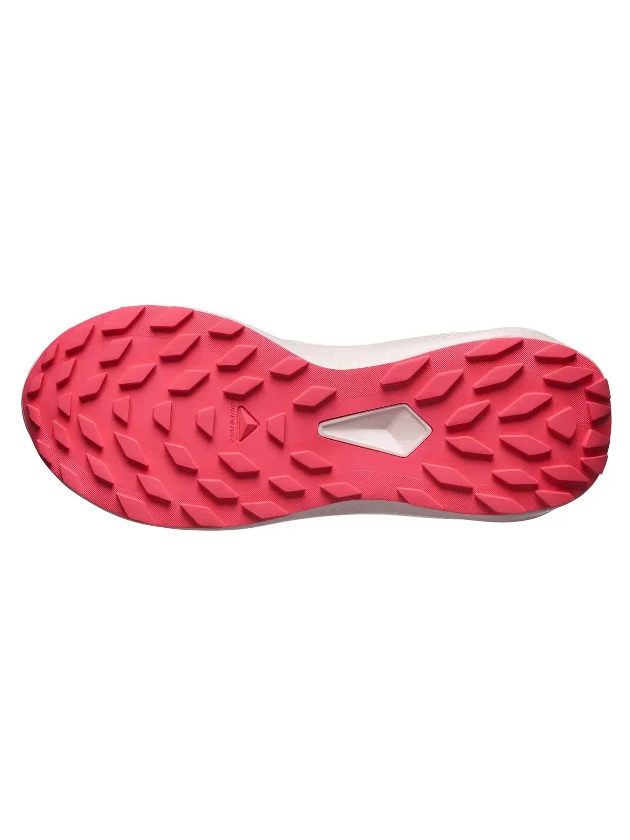 SALOMON Обувки ALPHAGLIDE GTX W