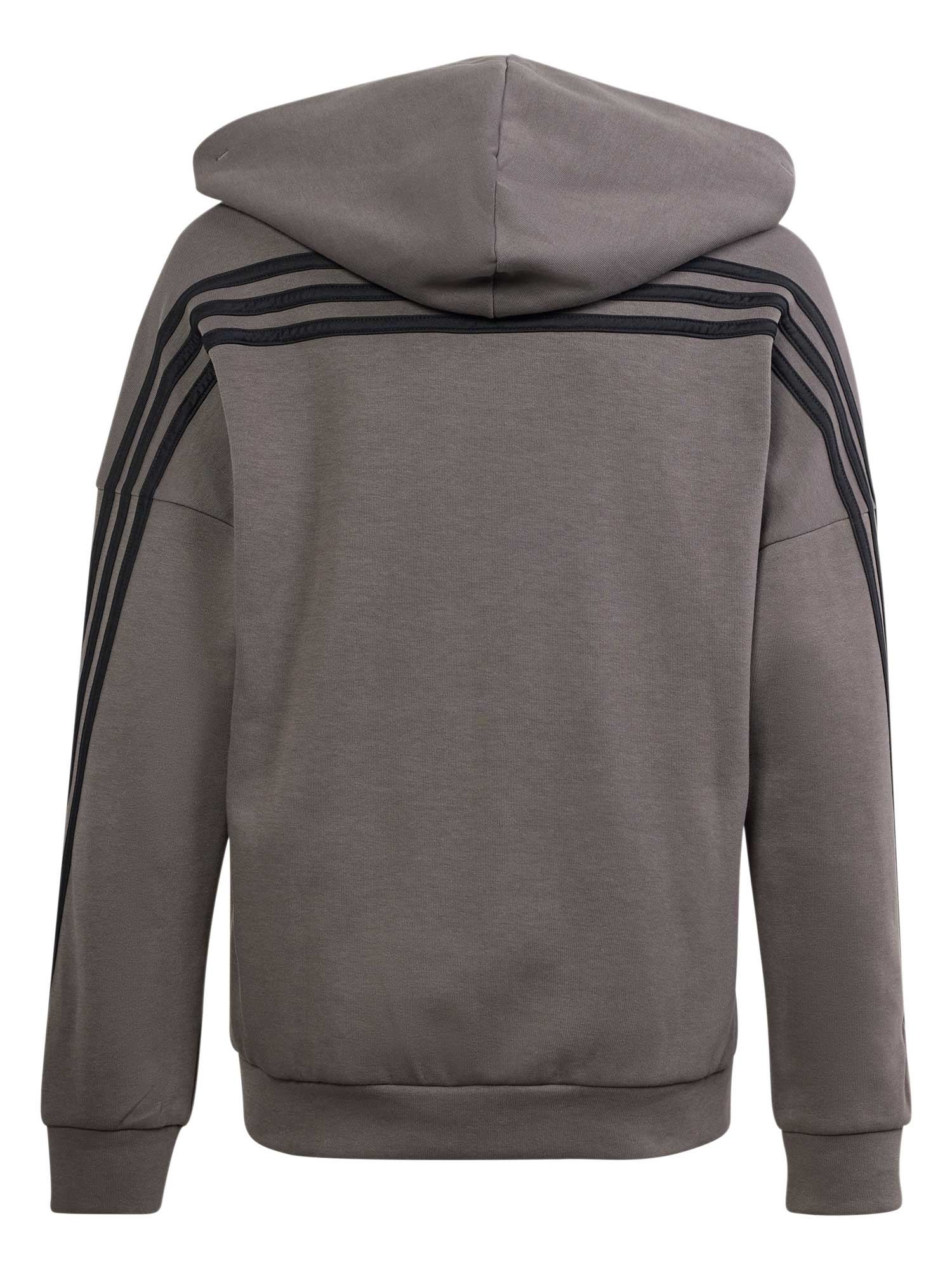 ADIDAS SPORTSWEAR Суитшърт Future Icons 3-Stripes