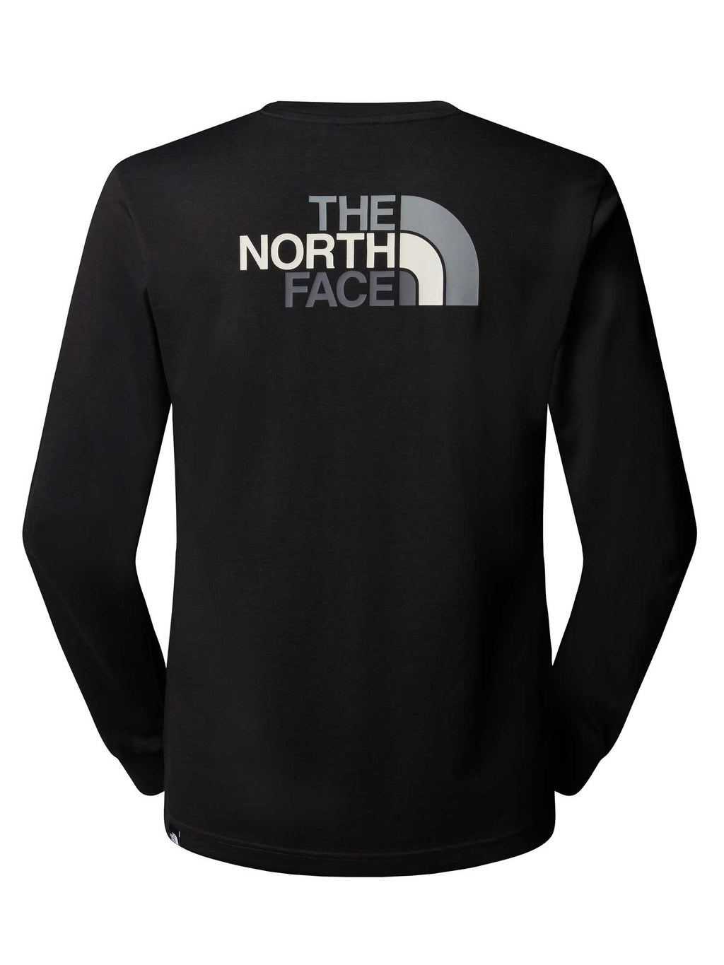 THE NORTH FACE Блуза M L/S EASY TEE