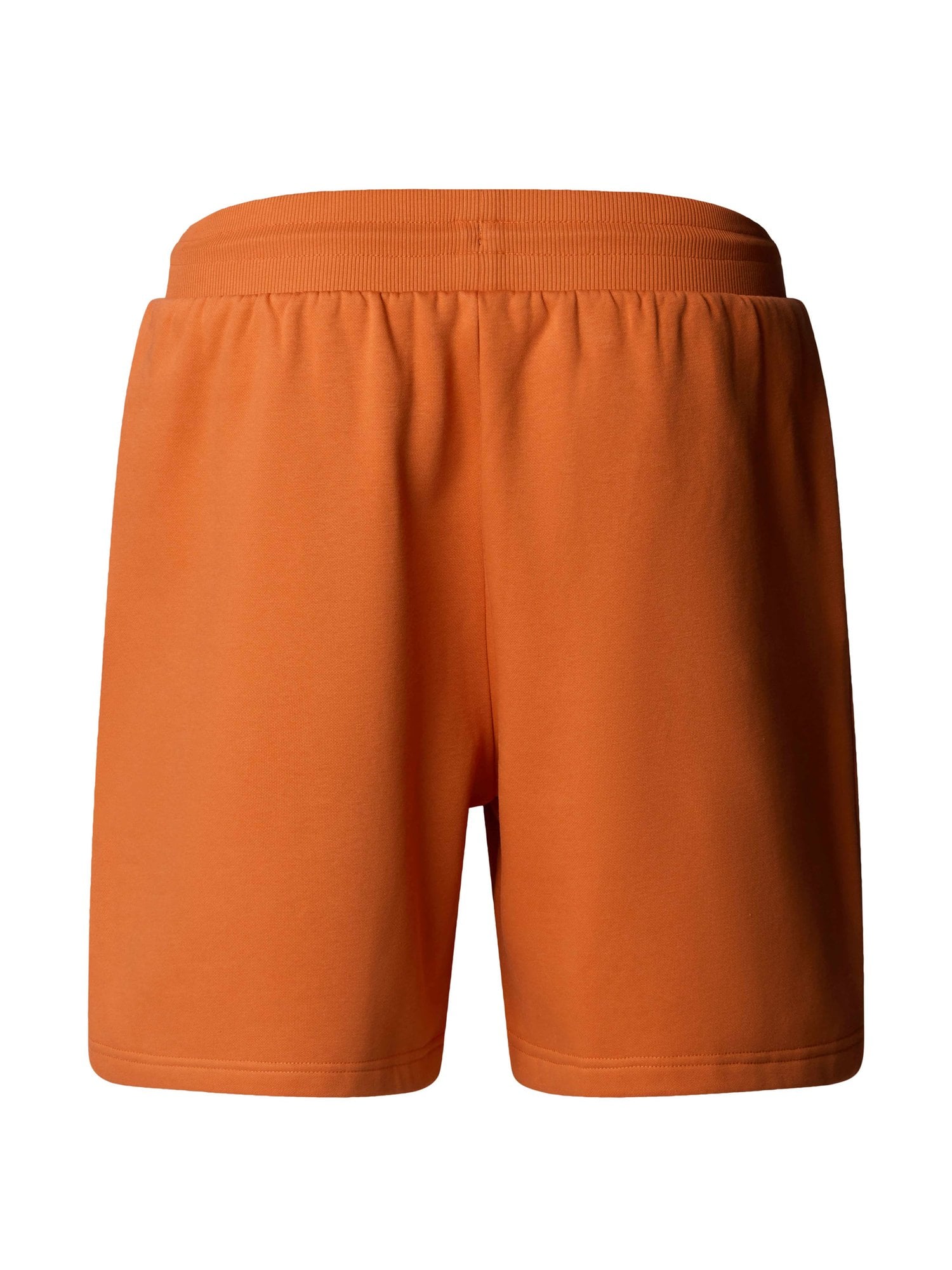 THE NORTH FACE Къси панталони M BOX NSE REGULAR SHORT