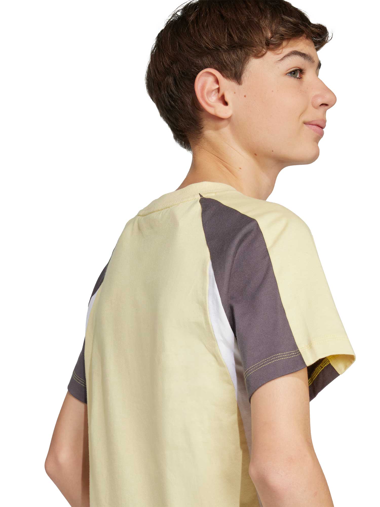 ADIDAS SPORTSWEAR Тениска Seasonal Essentials Colorblock T-Shirt
