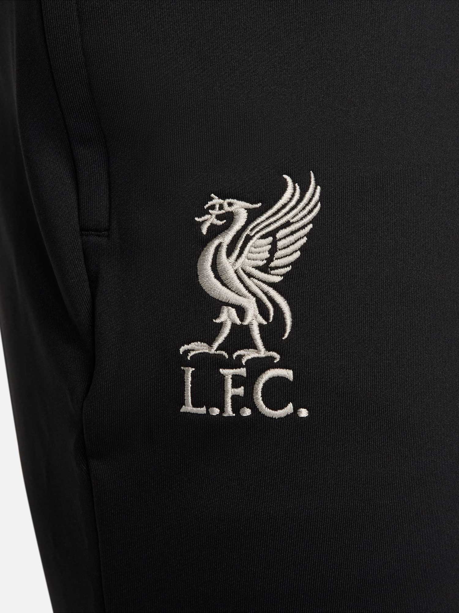 NIKE Спортно долнище LFC M NK DF STRK PANT KPZ