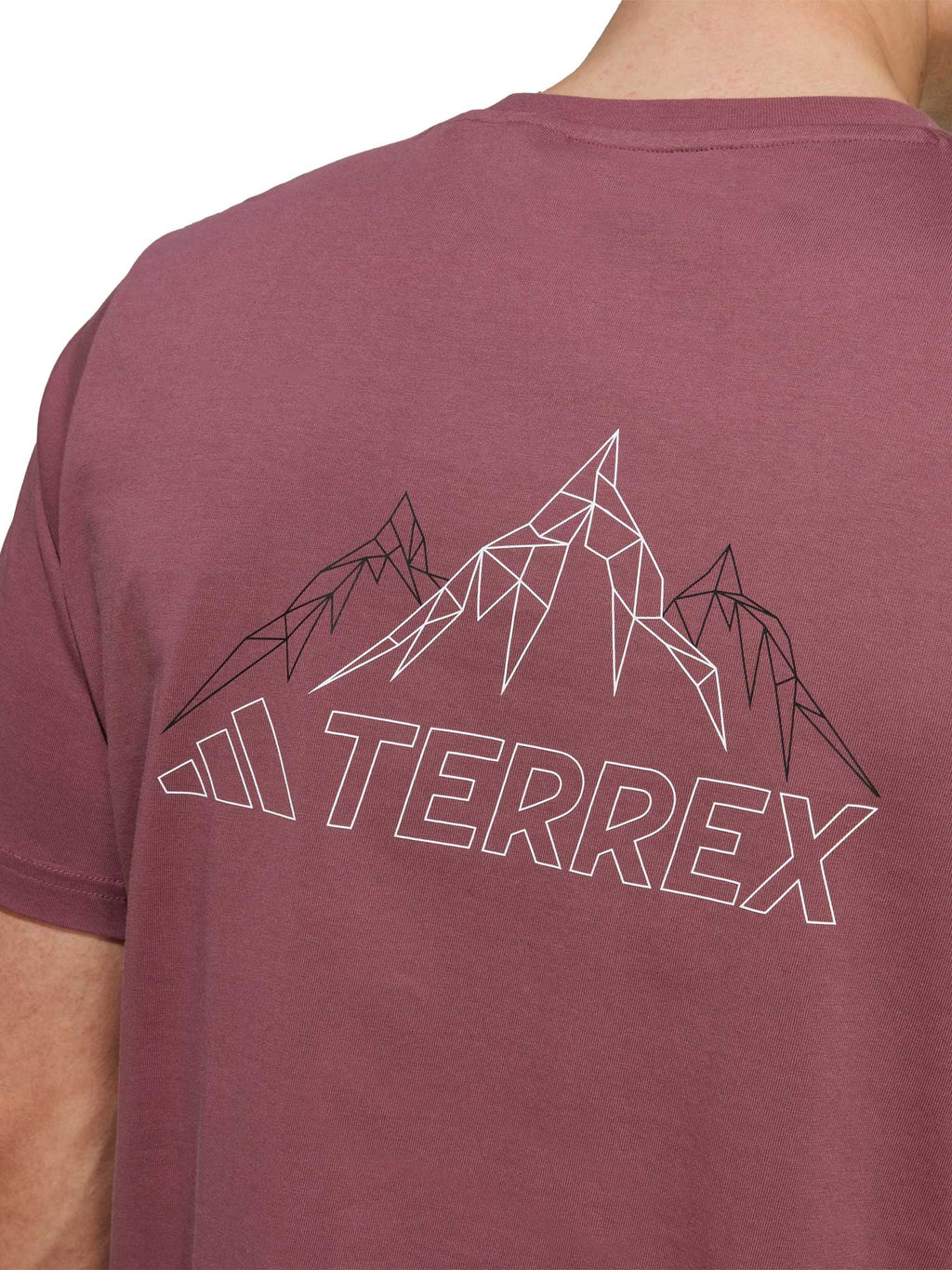 ADIDAS PERFORMANCE Тениска Terrex Graphic T-Shirt
