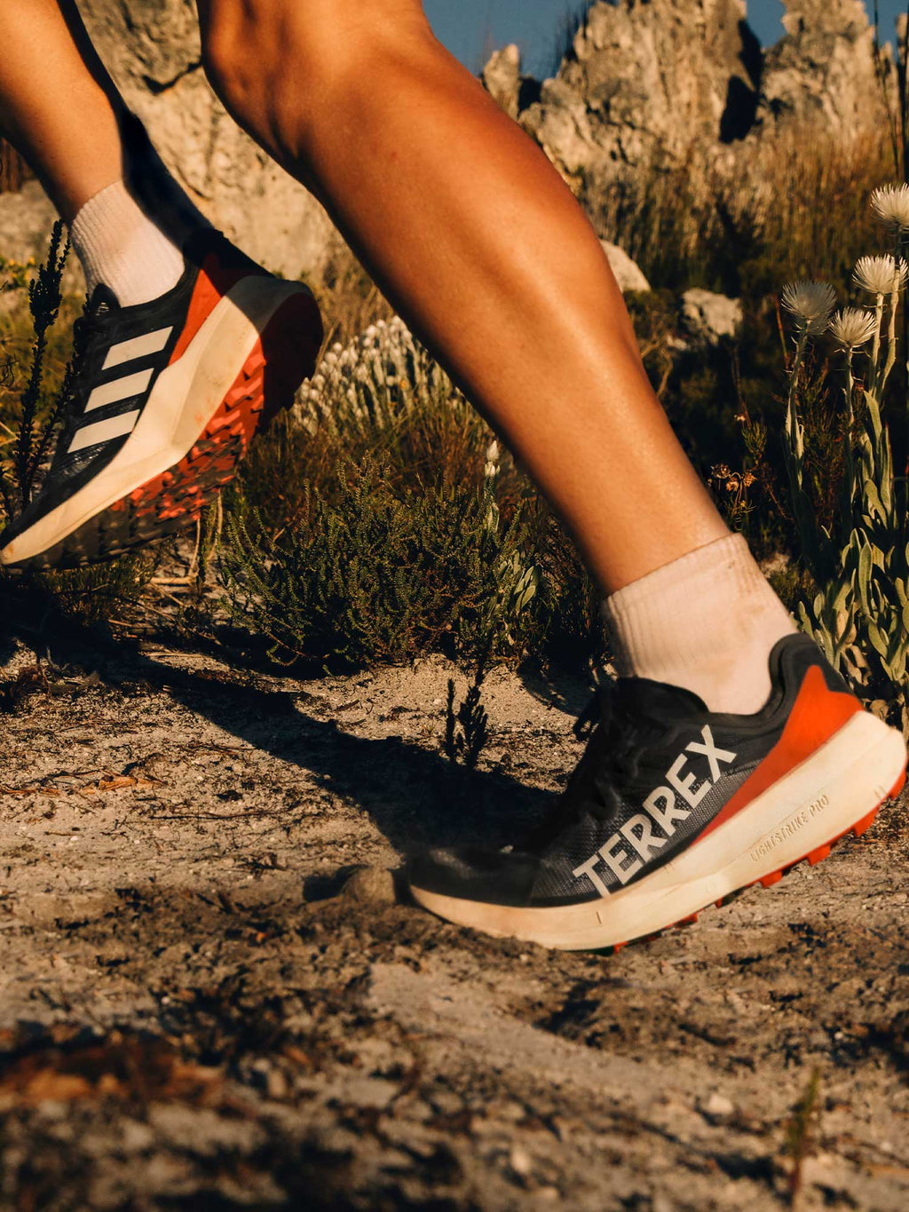 ADIDAS PERFORMANCE Обувки Terrex Agravic Speed