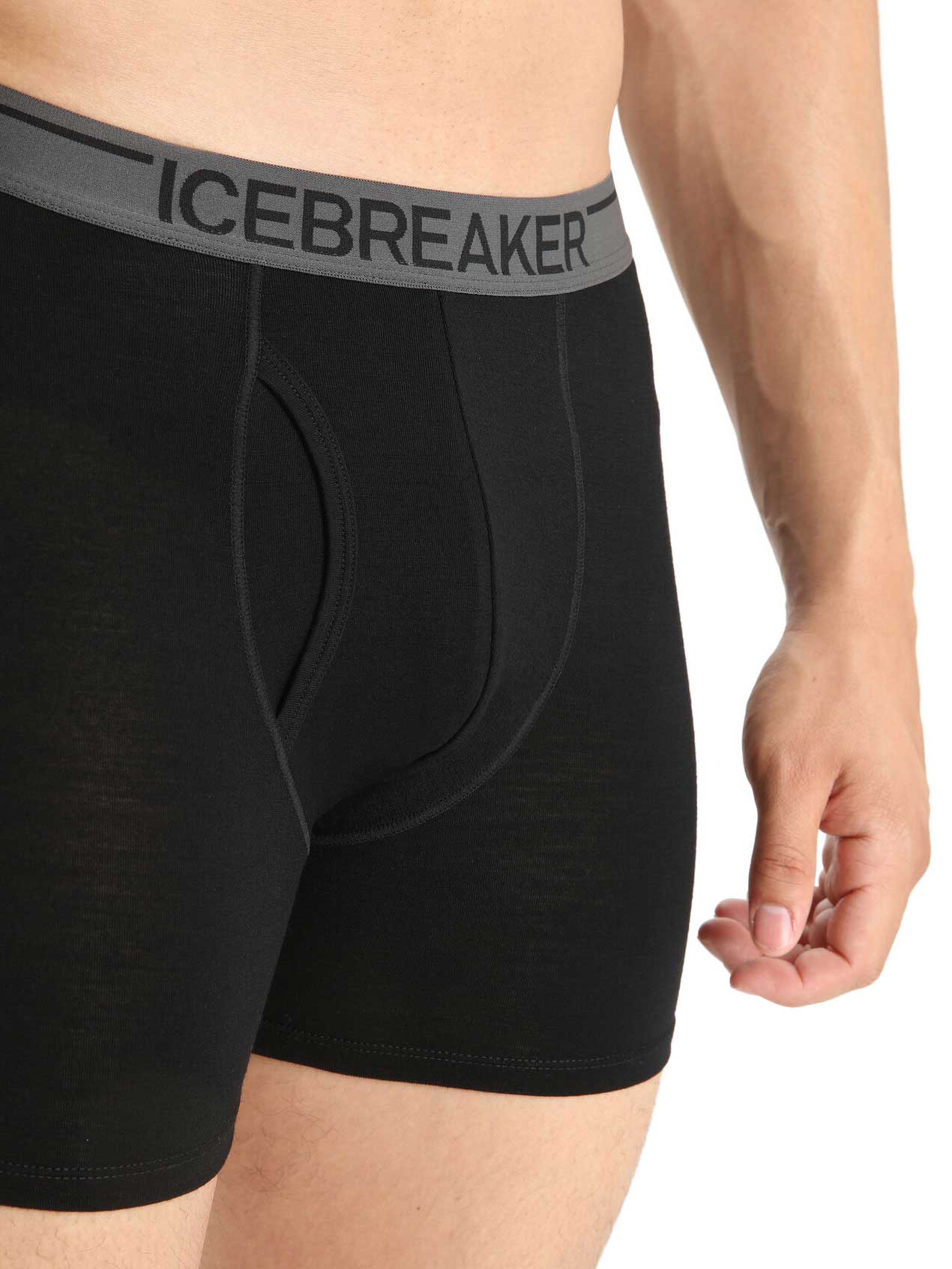 ICEBREAKER Бельо M Anatomica Boxers wFly