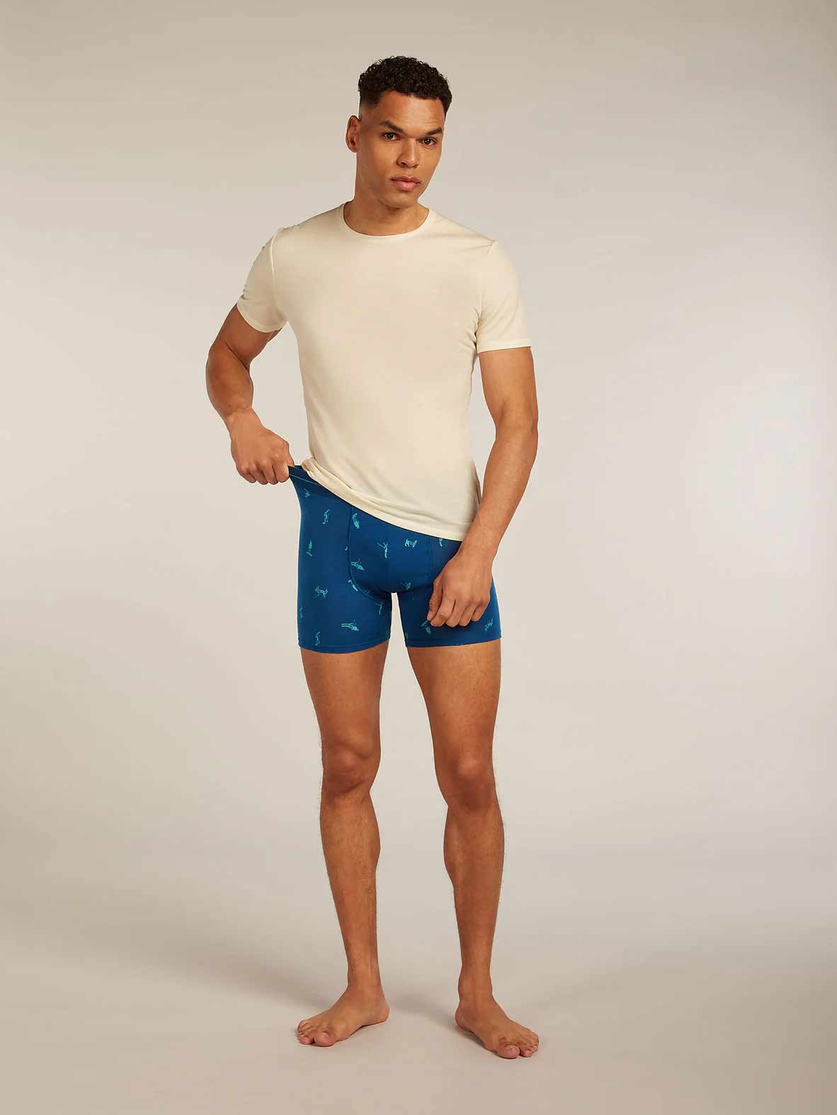 ICEBREAKER Бельо M M 150 Anat Boxers SkiD ATLANT
