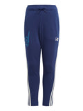 ADIDAS SPORTSWEAR Спортно долнище x Star Wars Young Jedi Joggers