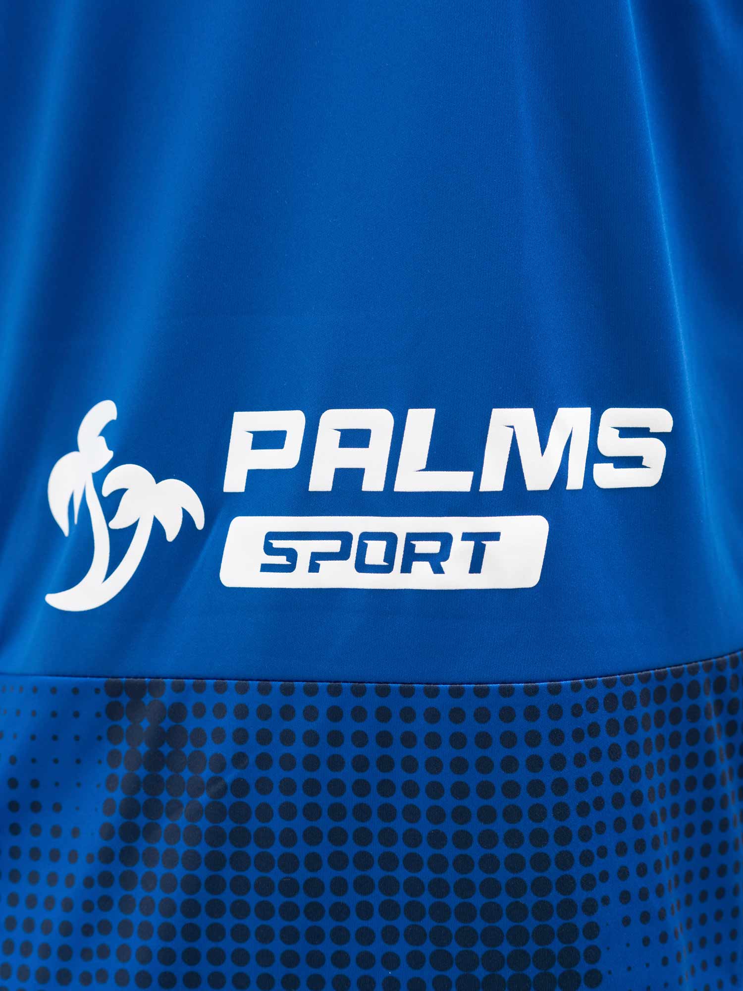 LEVSKI Levski Home Blue Jersey 25/26
