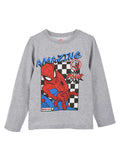KIDS MOVIE HEROES Блуза SPIDERMAN
