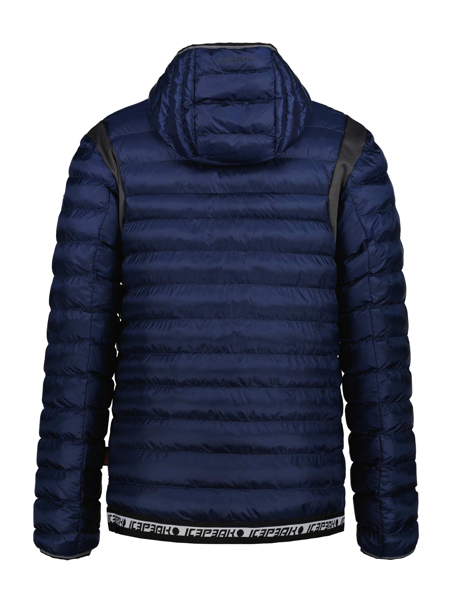 ICEPEAK Зимно яке DILLON