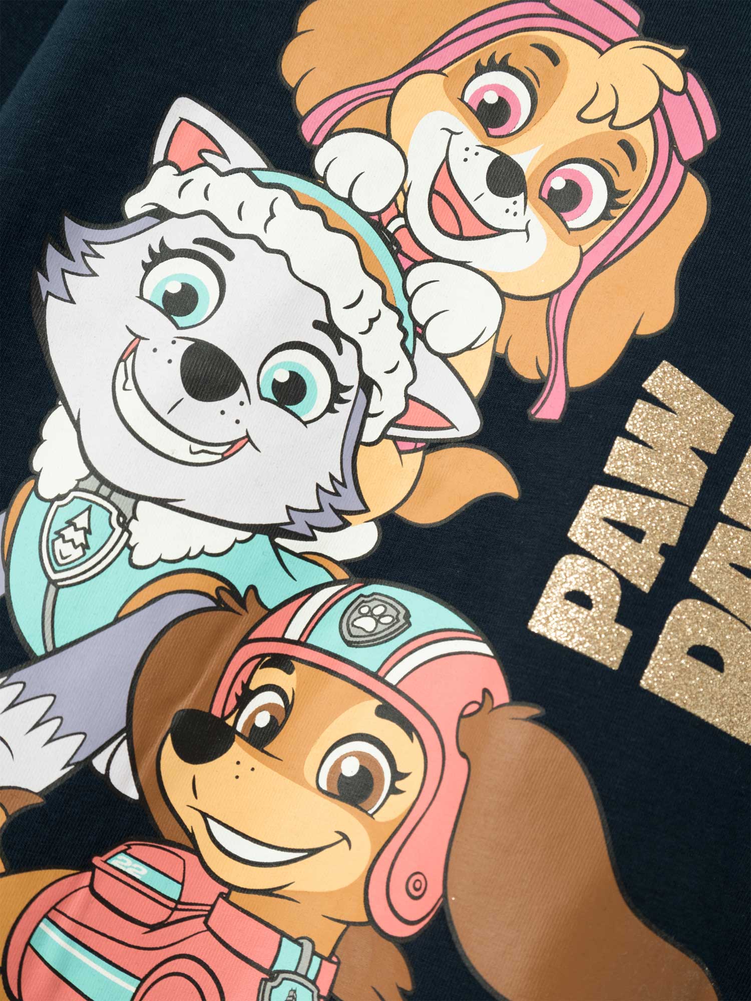 NAME IT Блуза NMFNUBINA PAWPATROL LS TOP NOOS CPLG