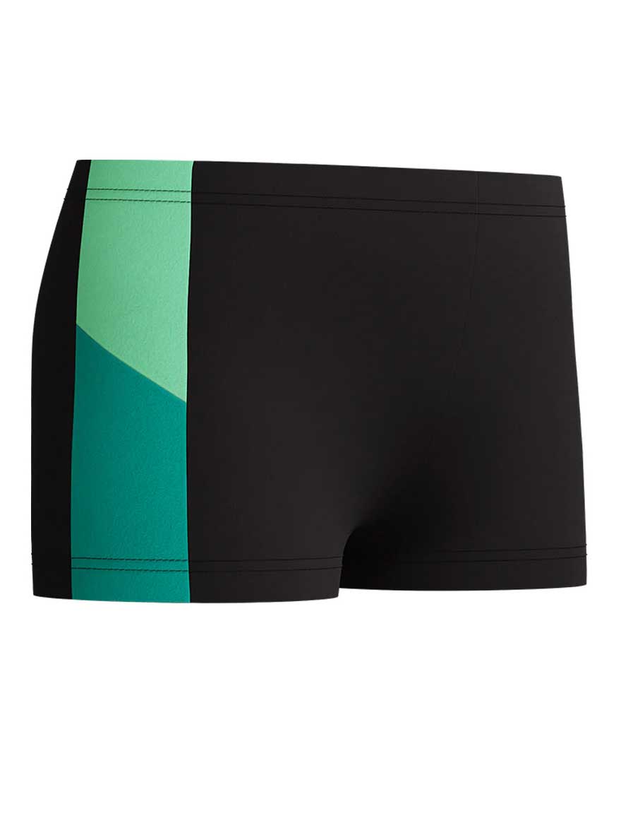 SPEEDO Бански BOYS DIVE AQUASHORT