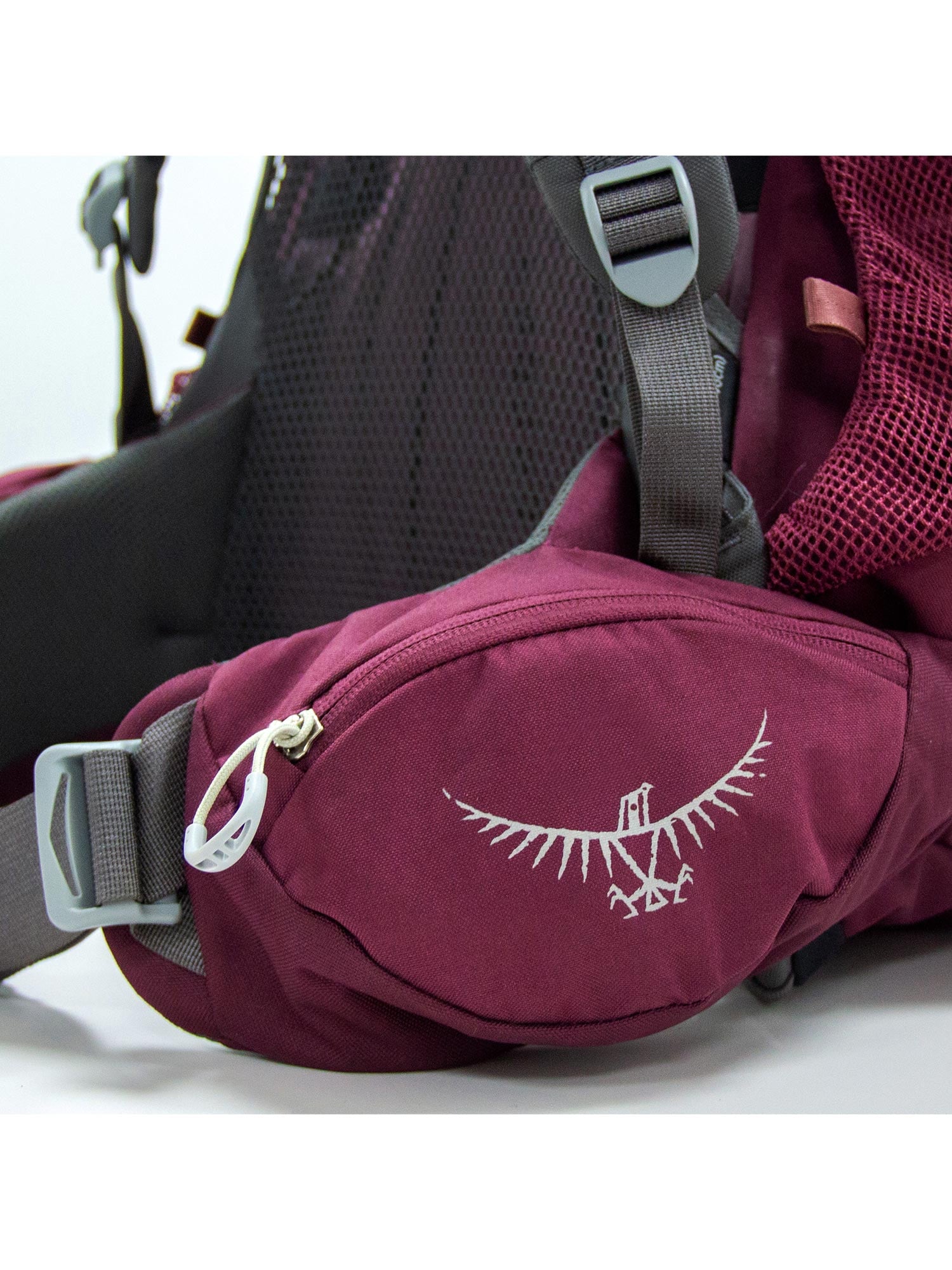 OSPREY Раница Renn 50