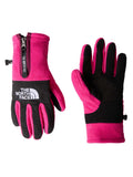 THE NORTH FACE Ръкавици DENALI ETIP GLOVE