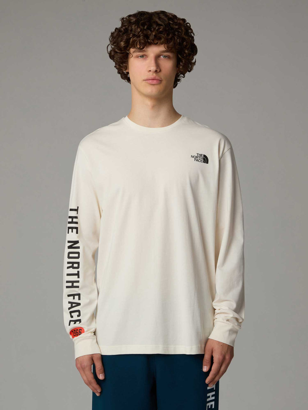 THE NORTH FACE Блуза M L\/S TEE VARSITY GRAPHIC