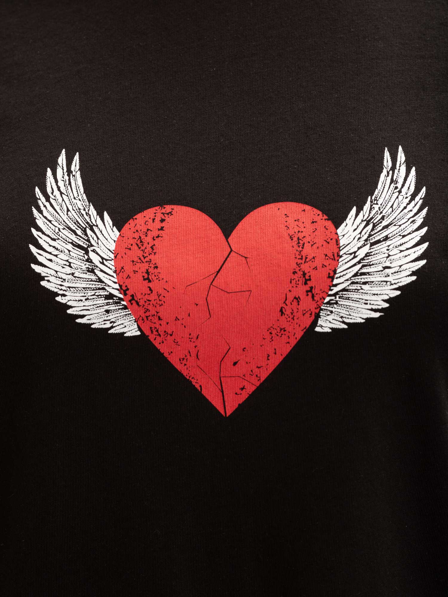 BRILLE Тениска Wings
