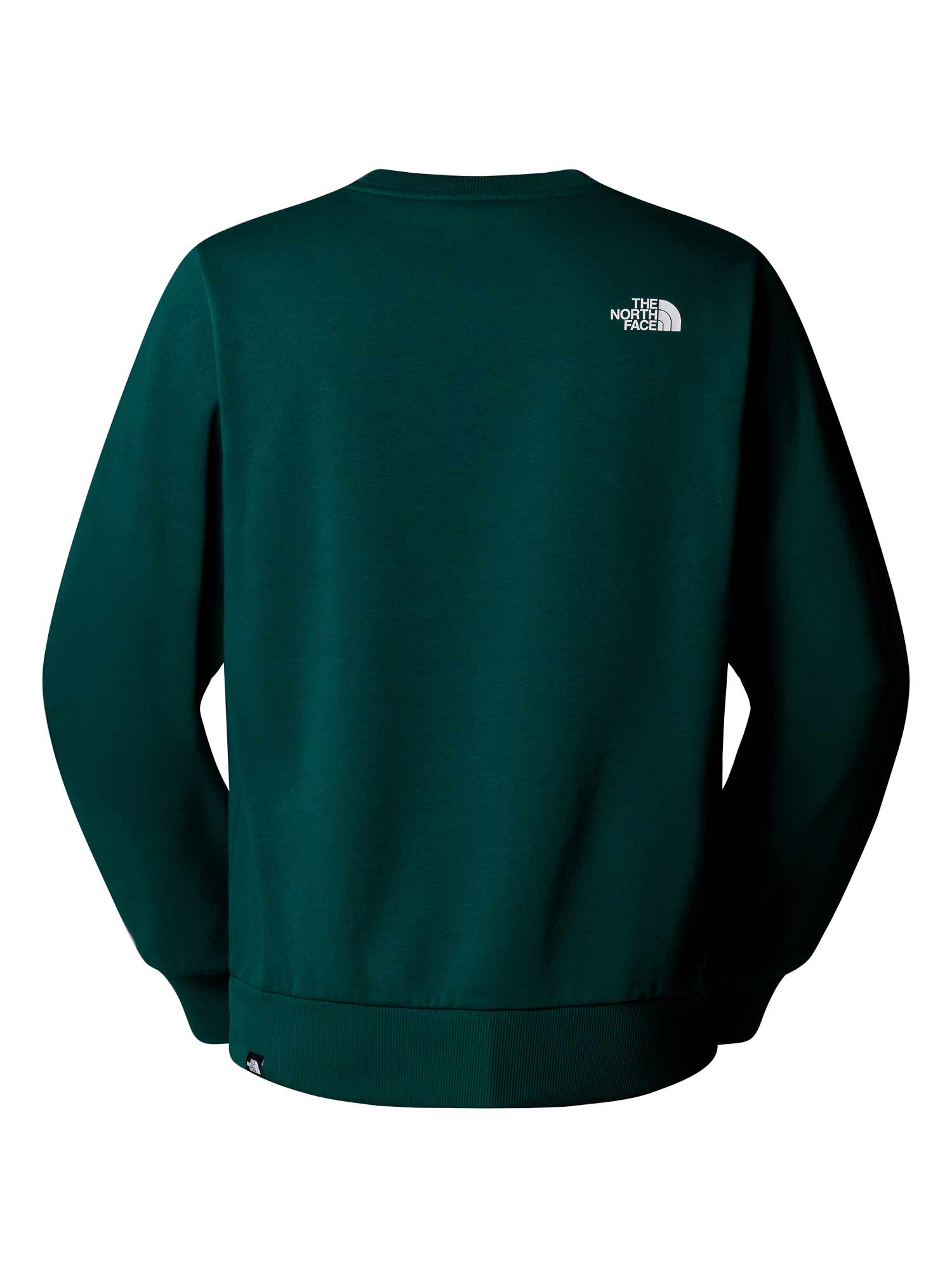 THE NORTH FACE Блуза M SIMPLE DOME REGULAR CREW