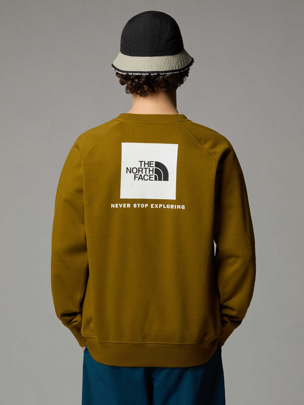 THE NORTH FACE Блуза M RAGLAN BOX NSE REGULAR CREW