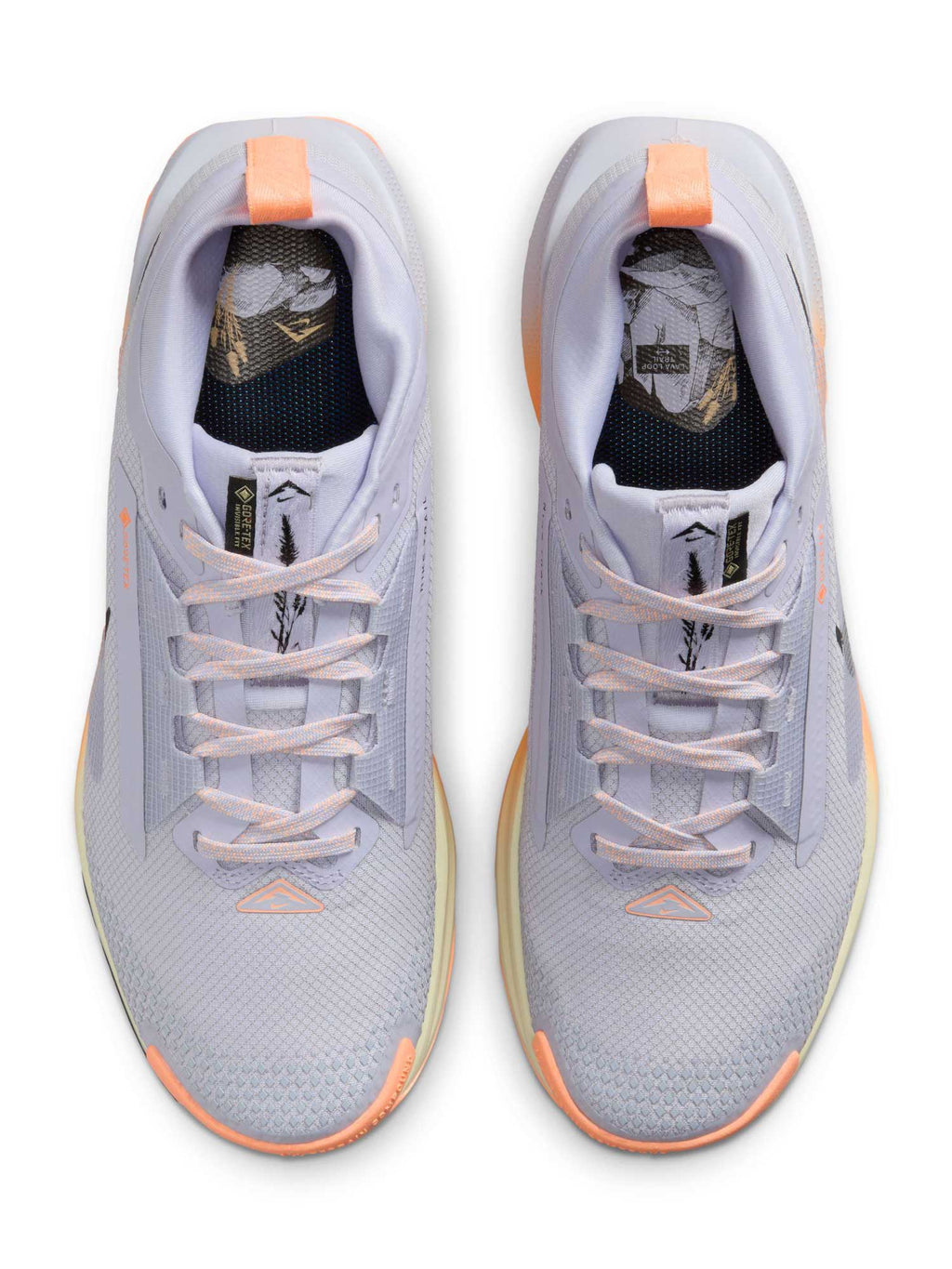 NIKE Обувки W PEGASUS TRAIL 5 GTX