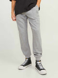 JACK & JONES Спортно долнище JPSTGORDON SHARK SWEAT PANTS NOOS