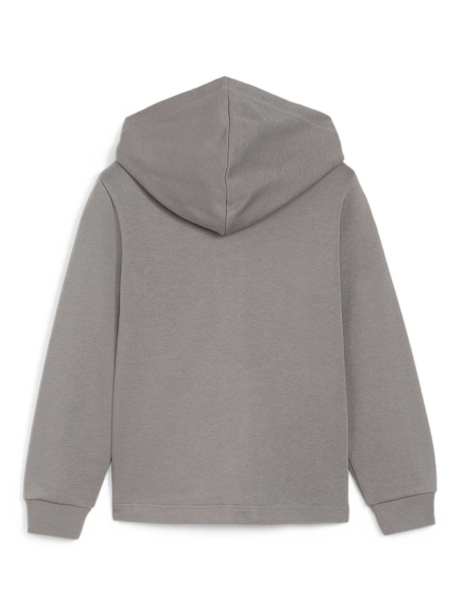 PUMA Суитшърт ESS+ SUMMER CAMP Full-Zip Hoodie TR
